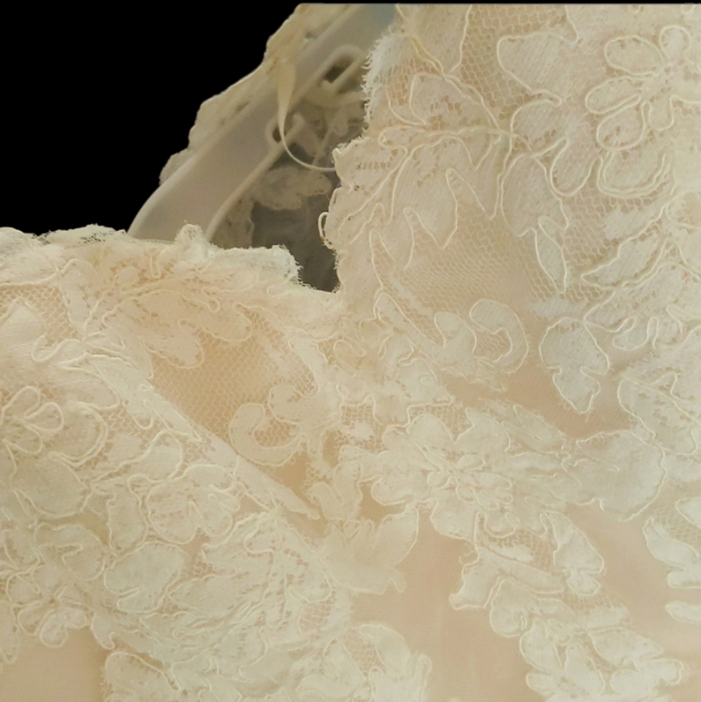 MORI LEE Blush with Lace Overlay Wedding Dress with belt size 10 - Picture 7 of 17